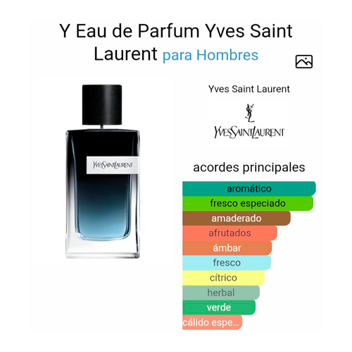 Yves Saint Laurent (MASCULINO)